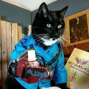 Meet your Posher, Bryan